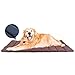 YGJT Letto per Cani Grande/Medio Tappetino per Cani Portatile Coperta da Picnic per Famiglie Multifunzione 110x68cm Cuscino per Uso Interno ed Esterno (Marrone*)