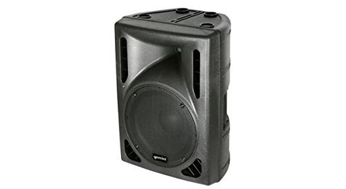dj speaker 300 watt