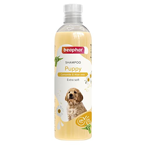 Beaphar Champú Cachorros 250ml – Extractos Naturales de Aloe Vera y Camomila – Cuida y Protege su Piel y Pelo –Apto para Las Pieles más sensibles - Extra Suave- Vegano - pH Neutro – 250 ml