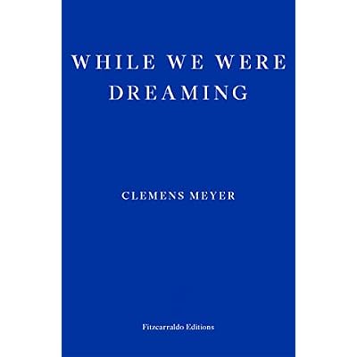 While We Were Dreaming
