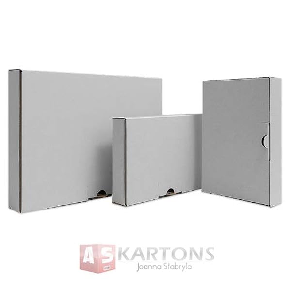 Cajas de cartón para envío, tamaño DIN A5, 240 x 160 x 45 mm (100, 240 x 160 x 45 mm)