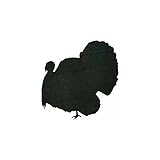 Woodcraft Project Paper Plan To Build Turkey Shadow - Material Not Included