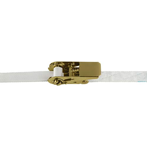 Xavax | Safety Lashing Strap with Ratchet for Laundry Drier | White