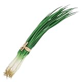 PRETYZOOM Lifelike Artificial Scallions Fake Green Onions Props for Kitchen Decoration Realistic Simulated Vegetable Models for Home and Restaurant Display Decor