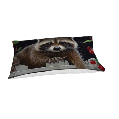 Linge de lit raton laveur microfibre doux et infroissable pour simplifier le coucher des enfants - 7