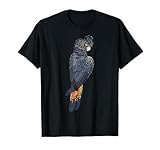 Red-tailed Black Cockatoo Bird
