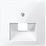 Lieferumfang: Merten 296219 Zentralplatte für UAE-Einsatz, 1fach, polarweiß glänzend, System M