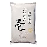 令和7年産 新潟産 いの