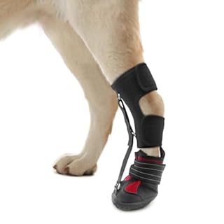 Strap-On Drop Foot Brace (No Knuckling Boot Brace) for Dogs— Corrective Dog Shoes to Safely Lift Toes for Foot Issues, Arthritis, and improving Walking gait in Dogs(S)