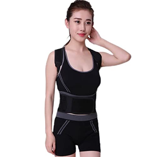 pxg Lwxg w؋xg jp pT|[g Lw΍ 2XL