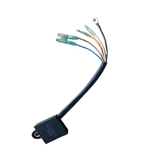 Allumeur de moteur à essence pour sorties en mer sereines en hors-bord