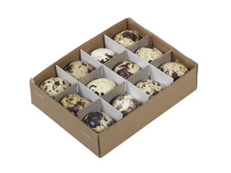 RiloStore 22 huevos de codorniz soplados, decoración natural, decoración de Pascua, manualidades, huevos de Pascua, codornices, huevos decorativos, huevos de codorniz, paquete XL