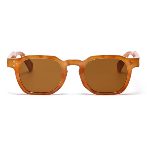 Image of Gleyemor Stylish Retro Sunglasses for Men Women Fashion Vintage Square Sunglasses UV400 Protection Shades