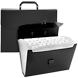 25-Pocket Expanding File Folder - Accordion Folder File Wallet Briefcase, Letter Size Business File Box with Handle, File Organizer for Home, Office, Classroom. Locking Closure, 10 x 10 x 3.1 Inches