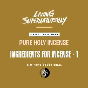 Pure Holy Incense - Ingredients for incense - 1