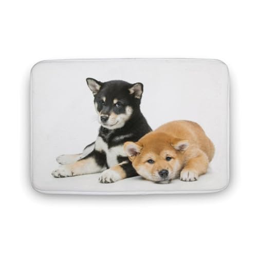 Č  L  oX}bg \tg􂦂 z  փ}bg  O   \ ~ Aj LN^[ @}bg   ʏ