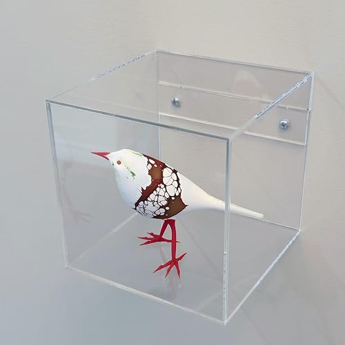 Wall Mounted Clear Acrylic Display Box, 6x6x6 Inches, Cube for Collectibles, Memorabilia