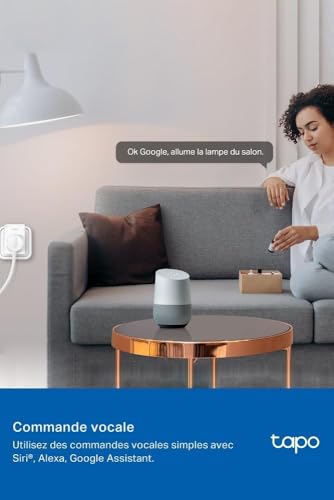 Tapo Matter Prise Connectée WiFi, Suivi de consommation, 16A Type E, Compatible avec Alexa, Google Home et SmartThings, Contrôler le radiateur, le chauffage, Économie d'énergie, Tapo P110M 2-pack(FR)