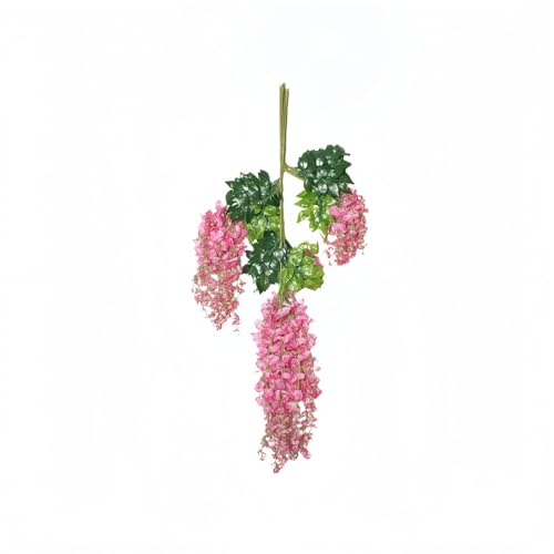 12{Zbg ̐lHK[hES110cmEVNzԁvX`bN} | /p[eB[/K[f/ƒ둕pE݂艺^CvE_ȃC[fUC (B)