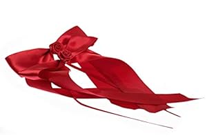 FlexiStore 10er Antennenschleifen Bordeaux Rot Rosen