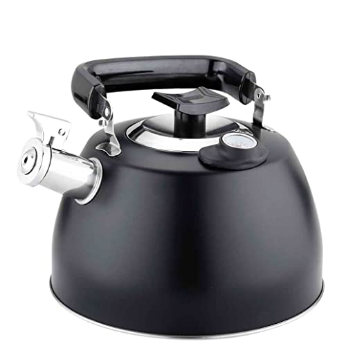 ₩ JPbg zCbXPg xvt 304XeX| zCbXPg \ TEhPg 3.5LPg JPg J₩ (Color : Black, Size : 3.5L)