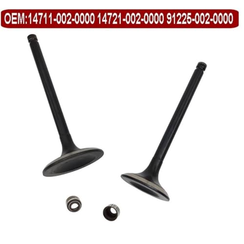 Kit de sello de válvula de admisión y componentes de motor para modelos HS 2