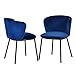 HomeRoots Velvet, Metal Set of Two Royal Blue Velvet and Black Modern Dining Chairss