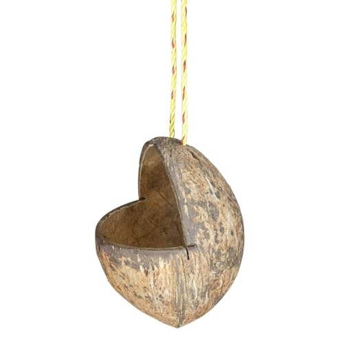 Image of Mithulya Hanging Bird Feeder for Outdoor Garden Brown Color Set of 1 | Bird Feeder