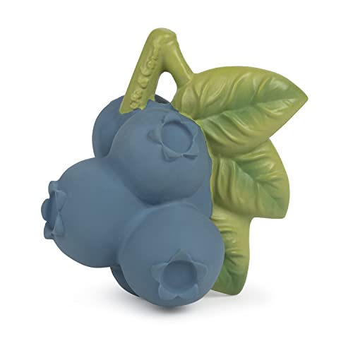 (Jerry the Blueberry) OLI&CAROL I[&L Ԃ 0 1 ܂ꂽ V mߋ Jt  oXgC CV ł Hו`[t  TEETHERS&BATH TOYS eB[T[ G