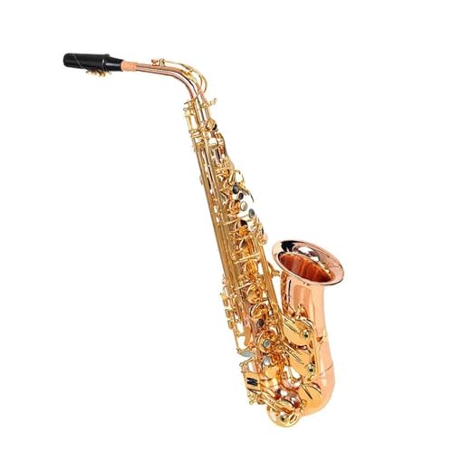 TbNX AgTbNX  [YS[hbJ[ p[{^ Etbg AgTbNX y P[Xt(B)