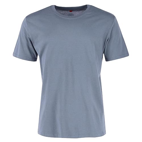 Hanes Men's P-6255-gry1096-m2