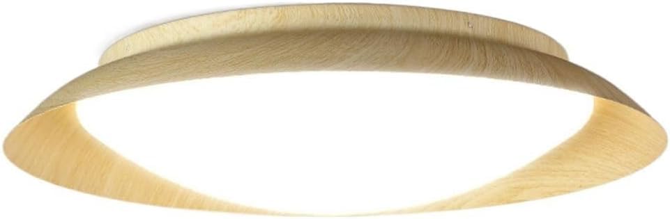 Art Plafonnier Wabi-sabi LED Rétro - Un luminaire de plafond haut de gamme au design minimaliste