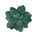 Oreiller Succulent, Oreiller végétal, Oreiller en Peluche Succulent, Coussins végétaux, Coussins Succulents Coussins décoratifs (F)