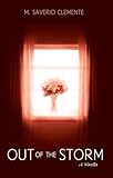 Out of the Storm: A Novella