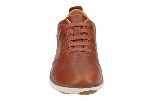 Image of Geox Men's Mnebula17 Fashion Sneaker | Casual Shoes