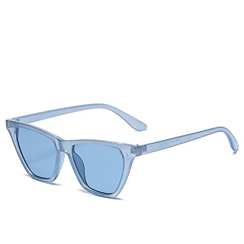 2026 Outdoor Retro Cat Eye Sunglasses for Men and Women