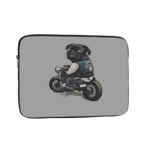 Ή    15 Inch PcP[X Pc[Jo m[gp\R P[X ʋ ʊw  킢 y