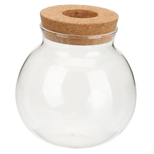 DOITOOL Vase Hydroponique Verre Décoratif pour Propagation de Plantes Vase à Fleurs Verre Élégant pour Bureau et Maison Support pour Plantes Intérieur