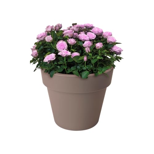 Pot de fleurs extérieur Elho Green Basics Ø47cm taupe - 7