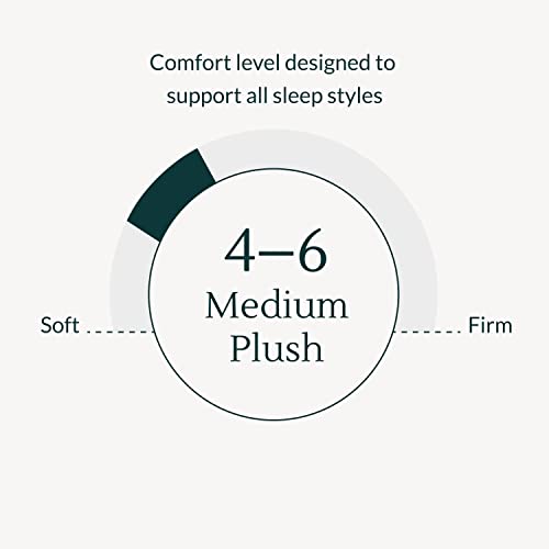 Leesa Legend Hybrid 12 Twin XL Mattress - Luxury Dual Hybrid with Organic Cotton Cover & 100-Night Trial