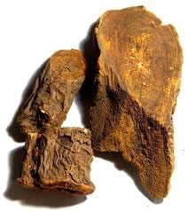 AyuZen Revan Chini (250 gm)- Rheum Emodi - Indian Rhubarb- Revand Chini-image-20