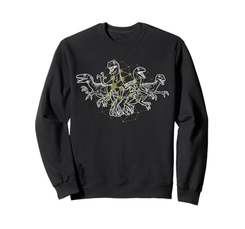 Sweat Jurassic World motif toile d'araignée dinosaure col rond pour fan