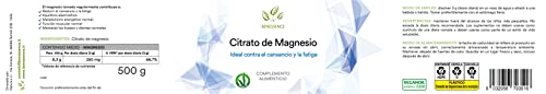 Benessence - Citrato de Magnesio en polvo soluble - Complemento alimenticio - 125 días de integración - 500 g