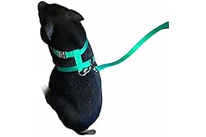 PIG HOG Harness 2 Buckles Home Made for Mini Pigs