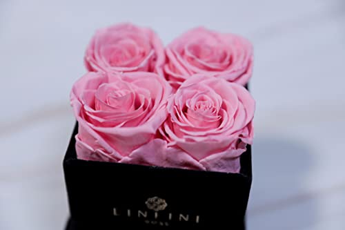 Preserved Roses In A Box | Real Pink Roses That Last For Years | Gifts For Her - Wife, Mom, Sister| Valentine's Day, Anniversary, Birthday, Mother's Day And Birthdays #TOP3