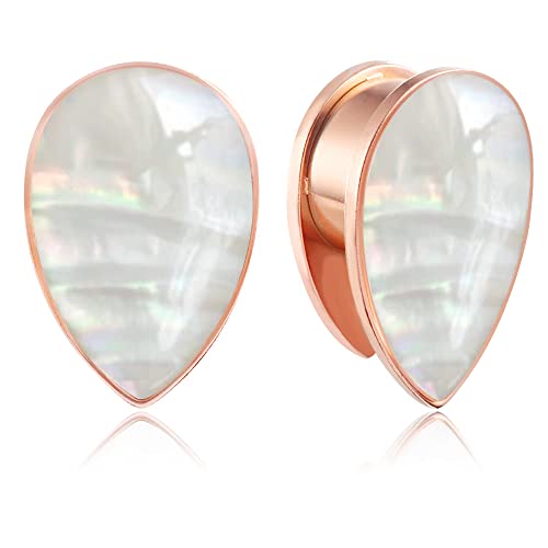 Casvort 2 PCS 6mm-25mm Hypoallergenic 316 Stainless Steel Elegant Wedding Ear Plugs Tunnels Helix Piercing Jewelry Shell Conch Ear Gauges Stretchers