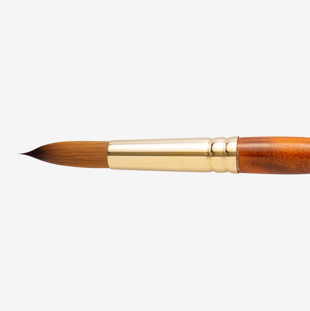 Pro Arte : Prolene Round Synthetic Watercolour Brush Series 007 Size 16