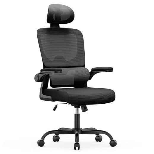 Chaise de Bureau Ergonomique avec Support