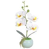 Lieferumfang: 1x Kunst-Pflanze Orchidee mit Keramiktopf(30cm hoch)