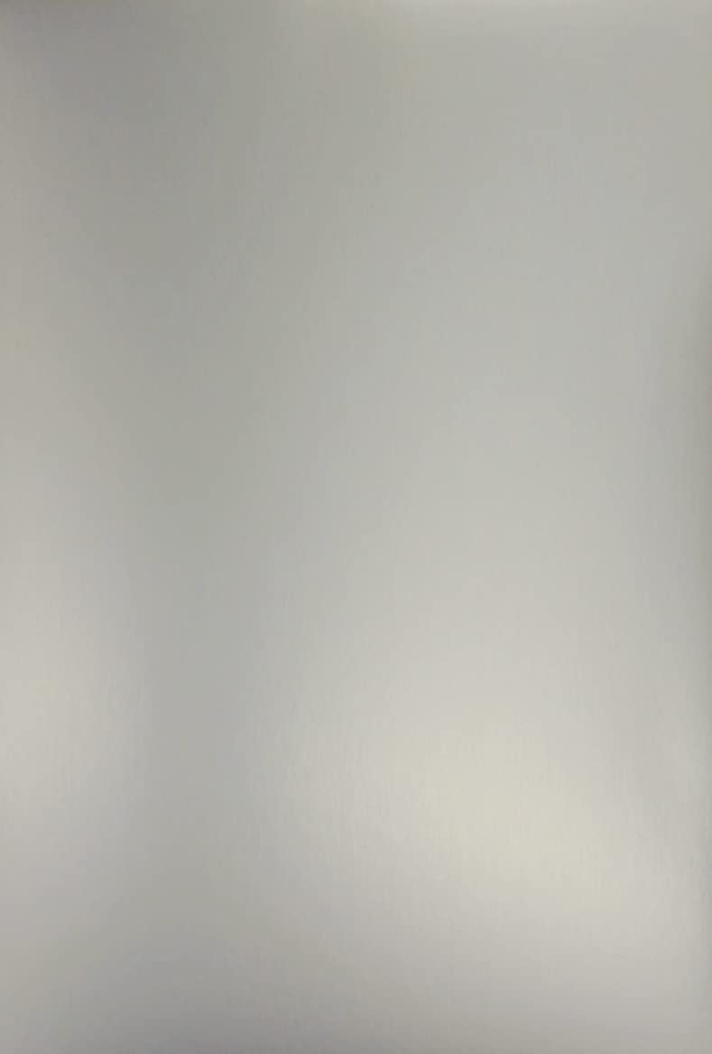 MA様注文専用 デイトナ(Daytona) バイク用 ブレーキパッド 赤パッド(セミメタル